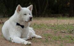 Edward MATEI-DEDIU - MOVART STUDIOS