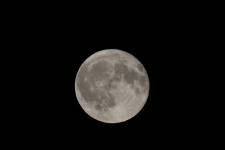 Martin D'HEROUVILLE - PHOTOGRAPHE MARTIN D'HEROUVILLE