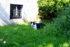 Chloé DUFLOT - PLAISIR PHOTO