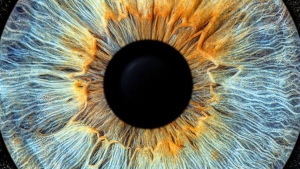 Jean-Christopher BLINDERMANN - STUDIO 10