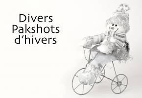 BIGNOLAIS PASCAL - STUDIO NOMADE